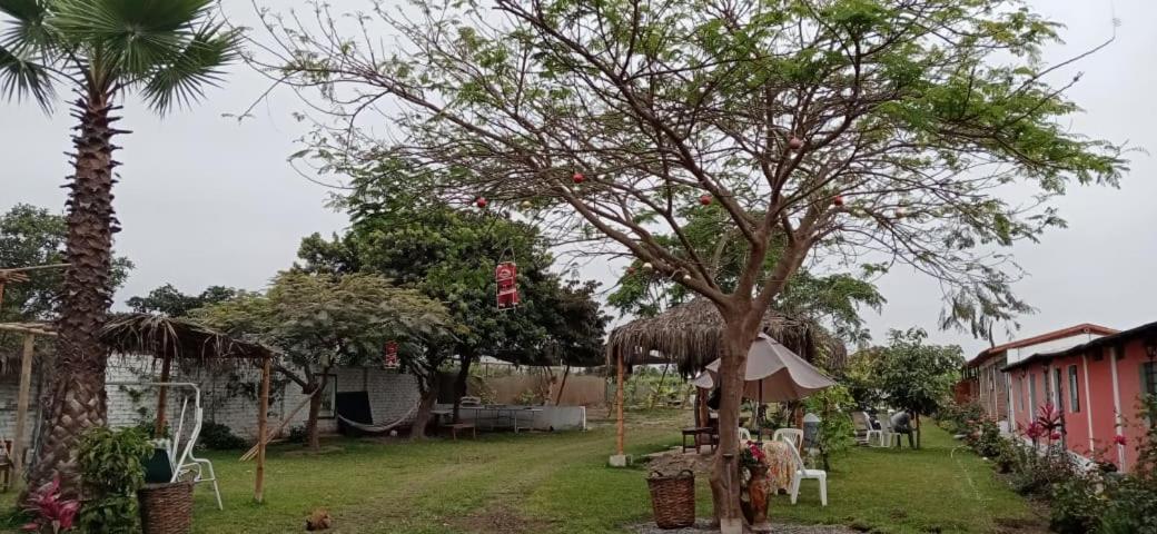La Vina De Oscar Pensionat Nuevo Imperial Eksteriør billede